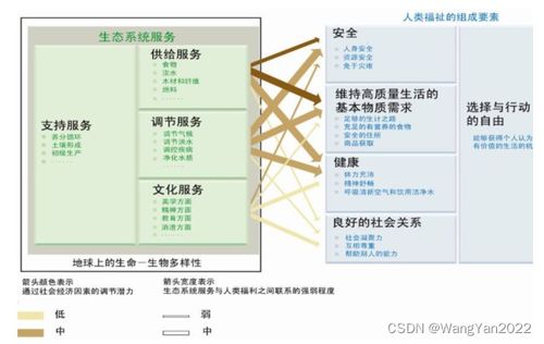 INVEST模型实践与进阶 在生态系统服务评估与城市研究中的核心应用及技术服务体系