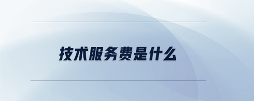 技术服务费 解析技术咨询与服务的核心内涵